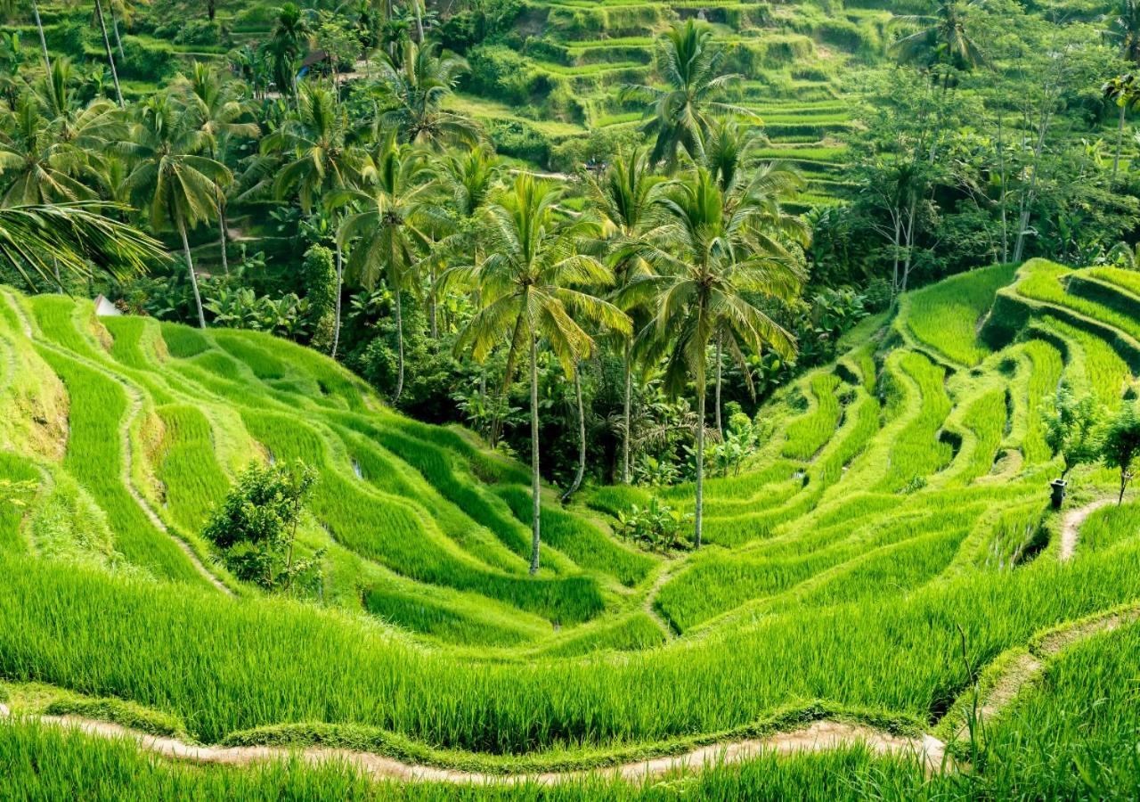 Capung Asri Eco Luxury Resort With Private Pool Villas Bedulu Exterior foto
